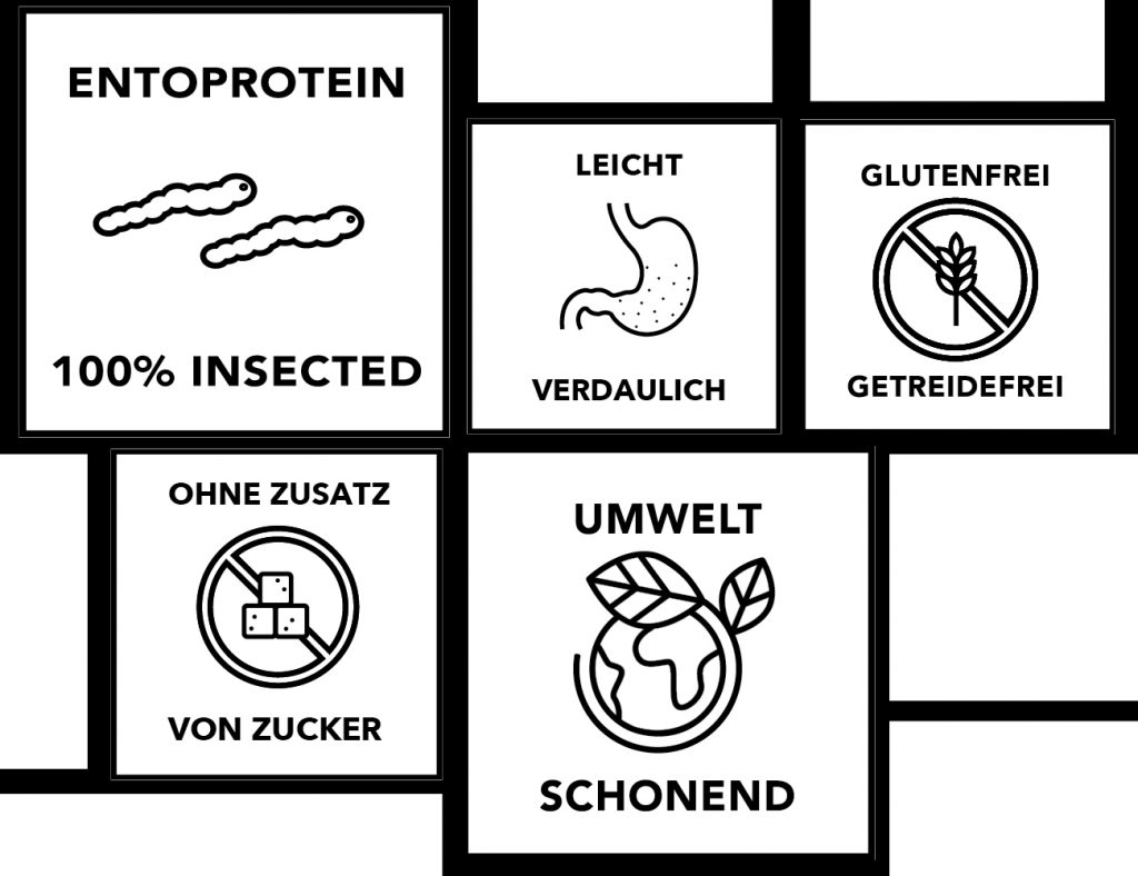 Vorteile des hypoallergenen Hunde und Katzenfutters entoVITAL auf Insektenproteinbasis von HEROSAN