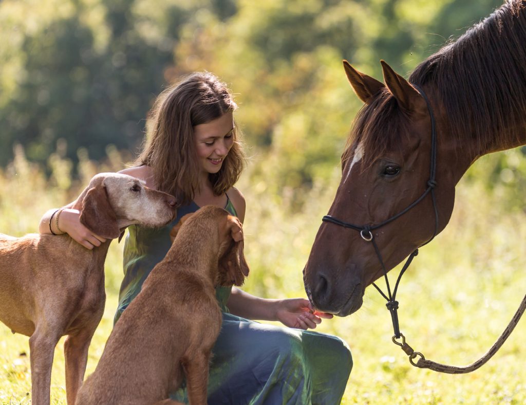 TAMACAN CBD-Öl CBD-Paste CBD-Creme und entoVITAL Hundefutter Katzenfutter Hundenahrung Katzennahrung Futterergänzung Cover Foto mit Katze Hund Pferd und Frau