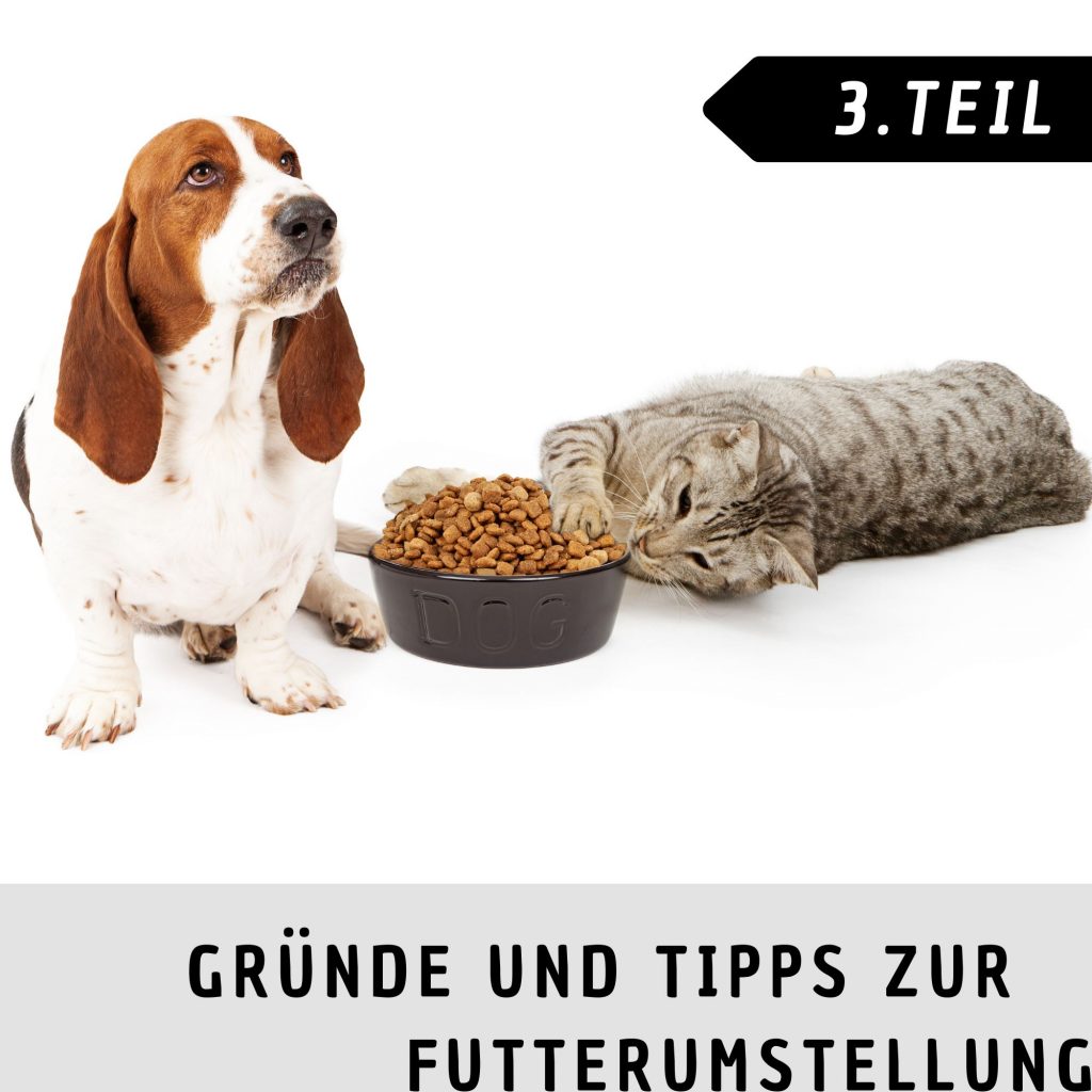 Gruende_Futterumstellung_3