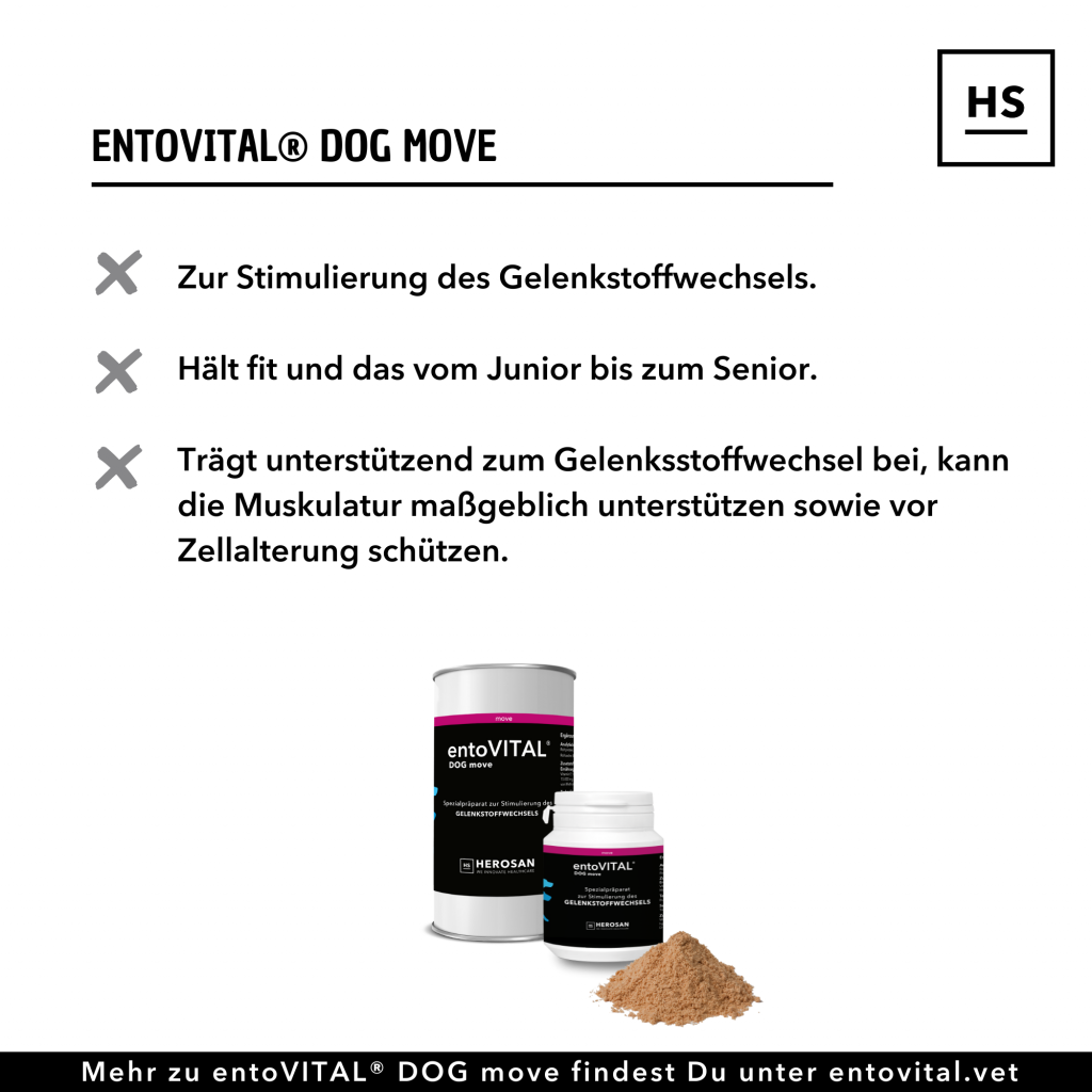 276141588_1305237889998570_304818298776996229_n