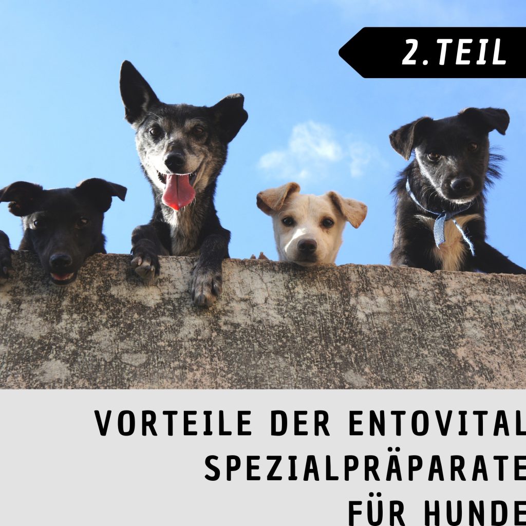 Vorteile_Spezielpräperate_2