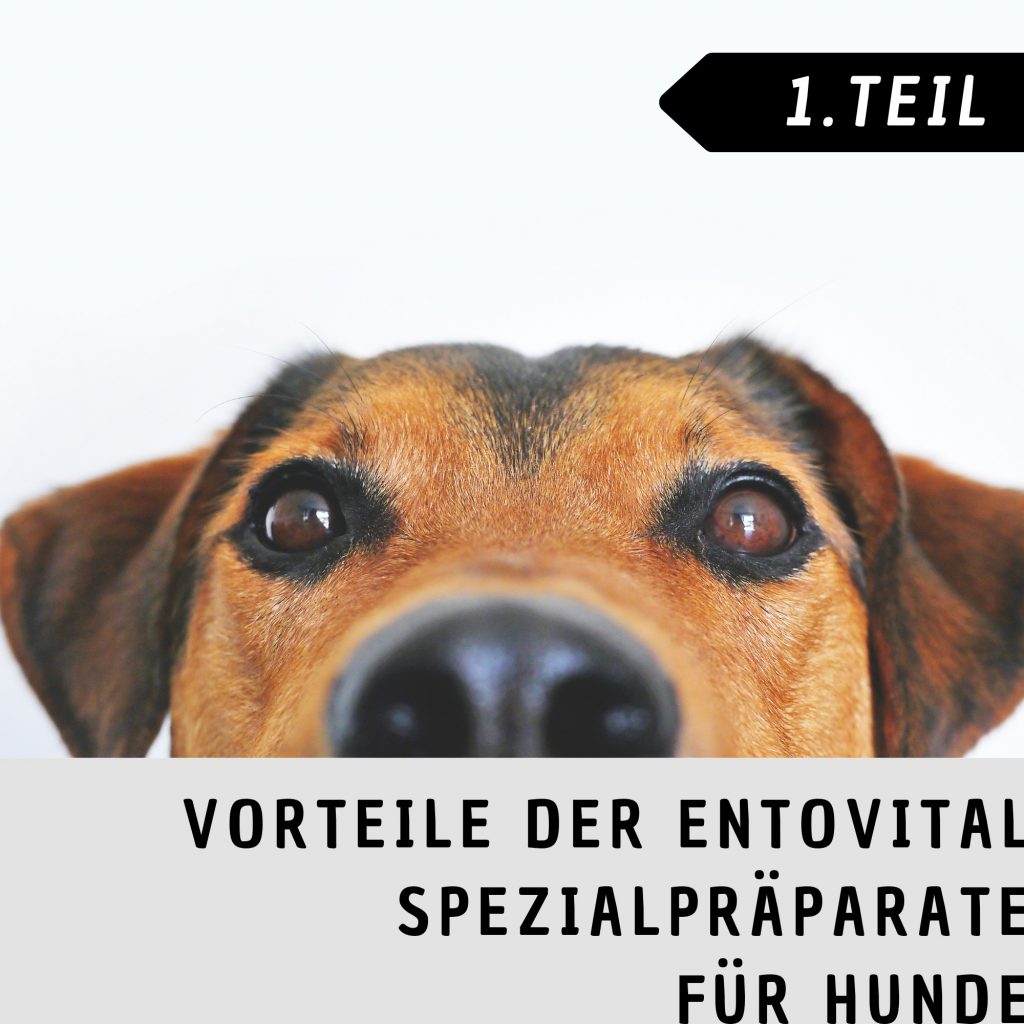 Vorteile_Spezielpräperate_1