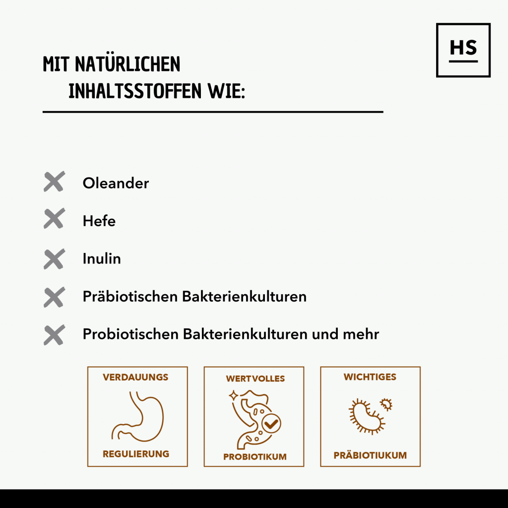 277006035_1305252286663797_4802095160507671819_n