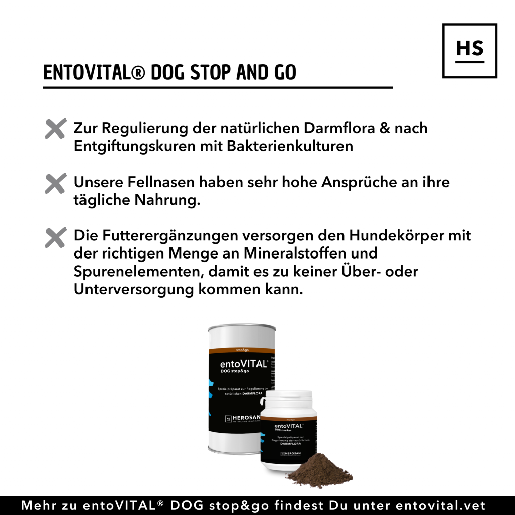 277139677_1305252306663795_7575704634629118098_n