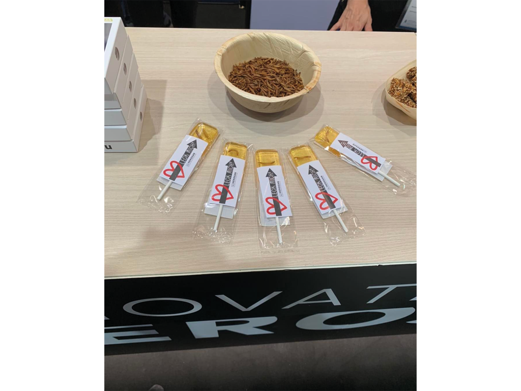 tierkongress-slider-3