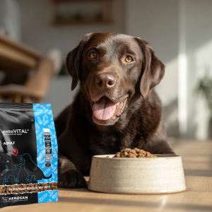 2. Bei der gewohnten Ernährung bleiben