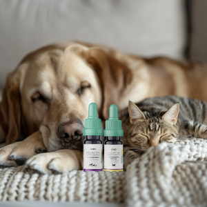 relax-isolat-plus-sanfte-unterstuetzung