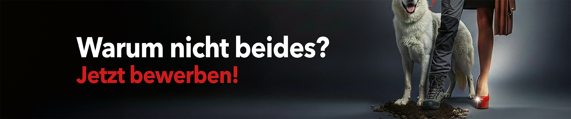 Jobs Herosan - Warum nicht beides - Jetzt Bewerben!