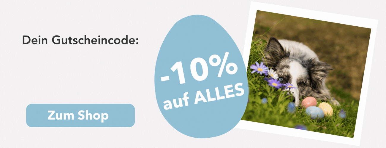 Gutscheincode Ostern