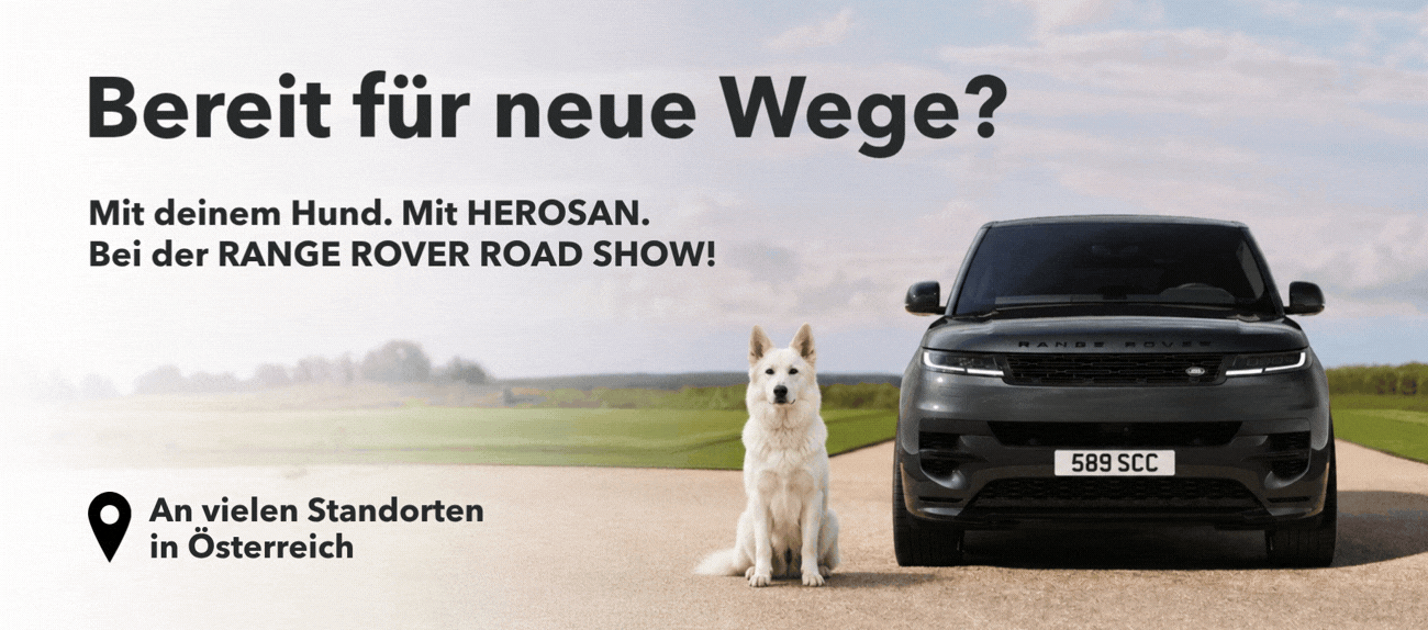 Ein weißter Hund sitzt neben einem schwarzen Landrover auf einer unbefestigten Straße, die durch eine weitläufige Landschaft führt