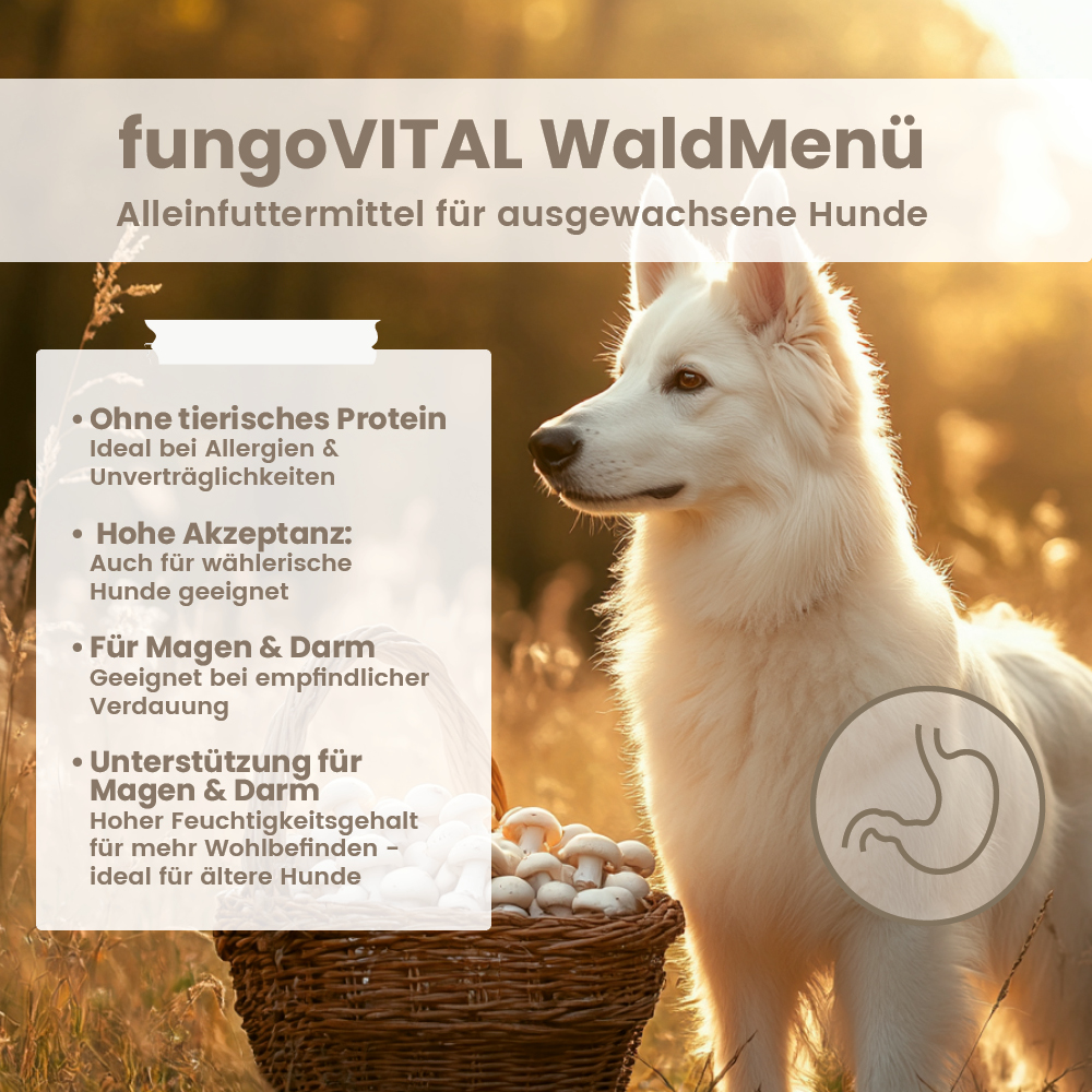 fungoVITAL WaldMenü Nassfutter