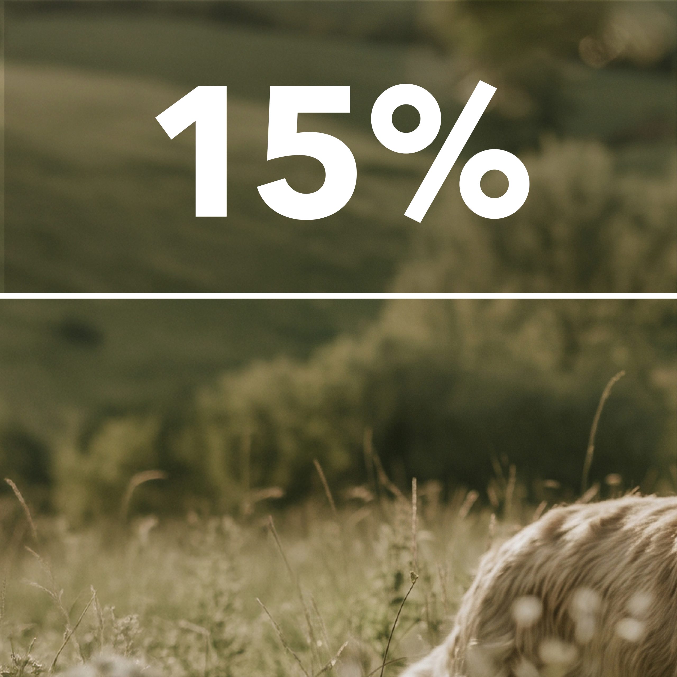 15% Rabatt