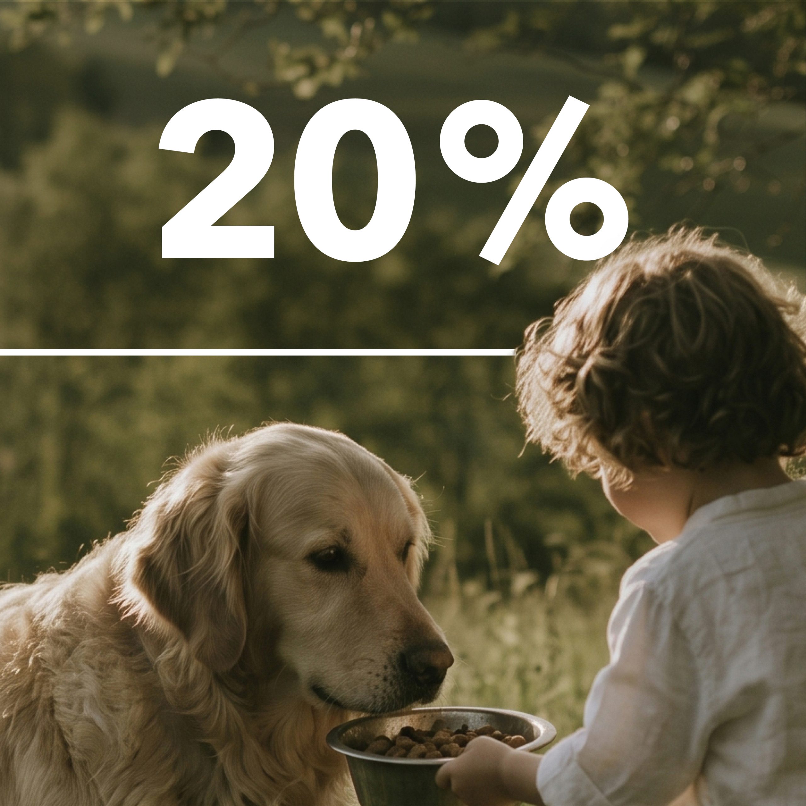 20% Rabatt