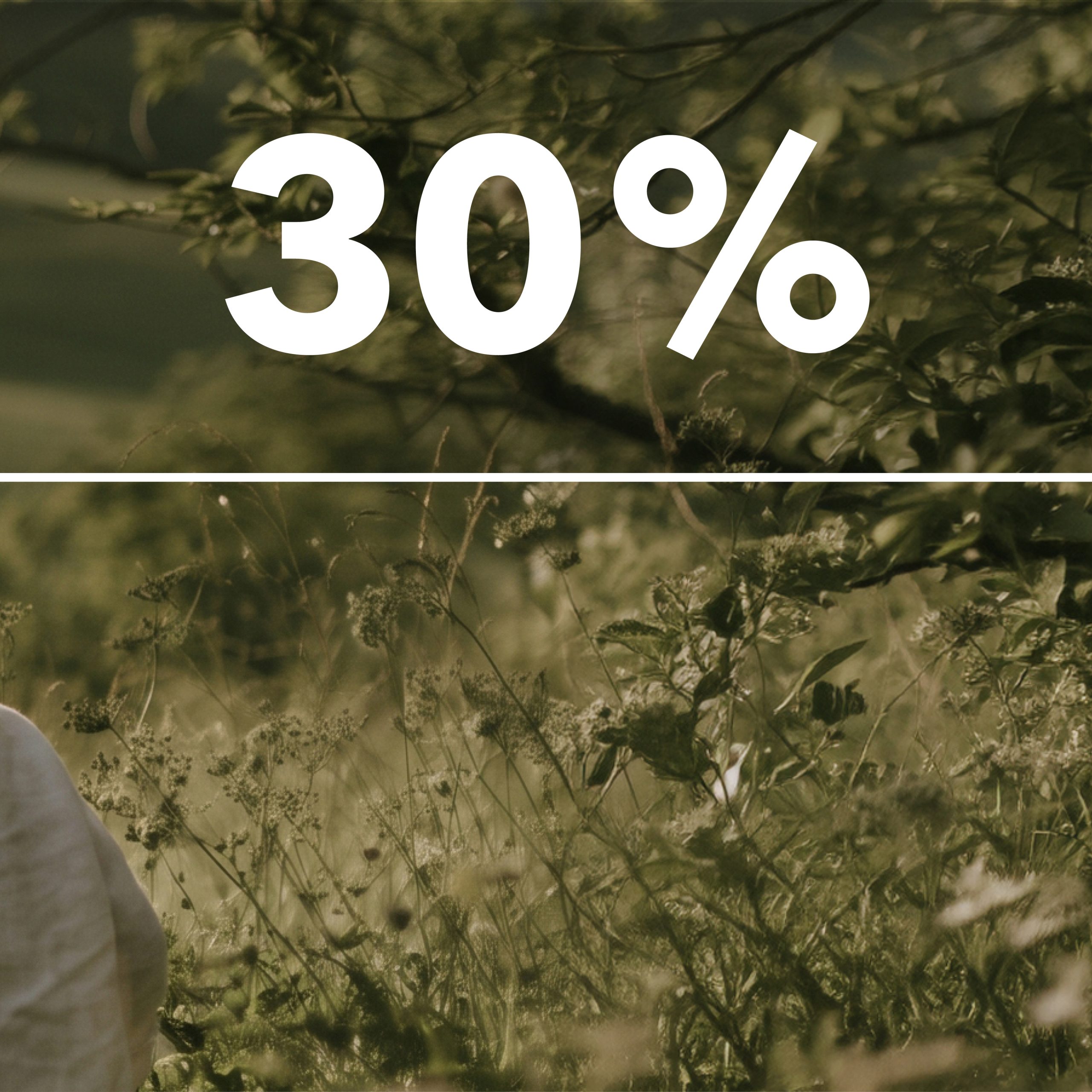 30% Rabatt