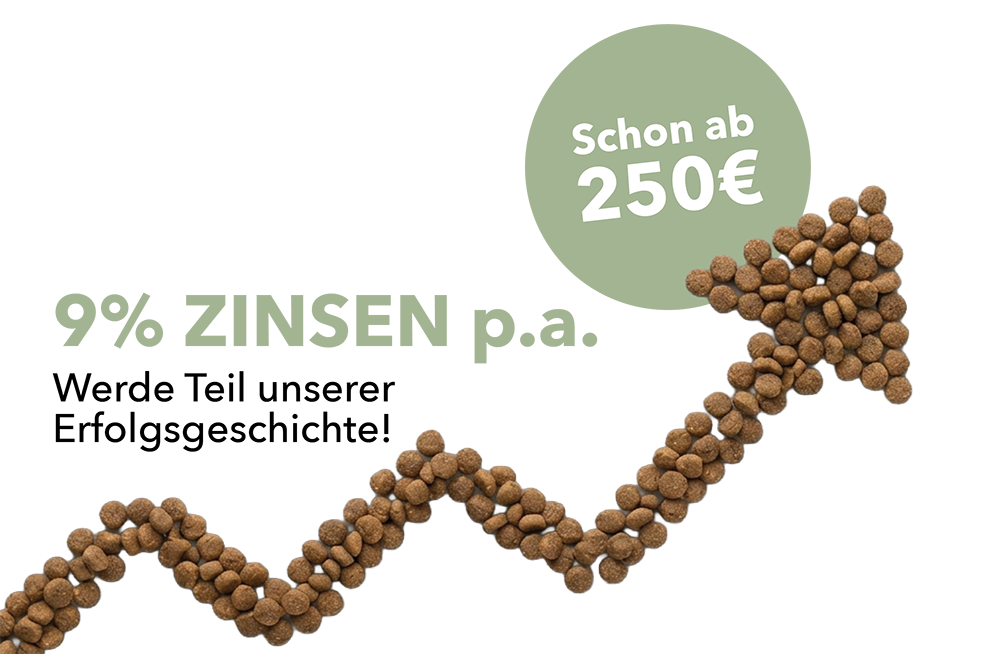 Invesdor: 9% Zinsen p.a.
