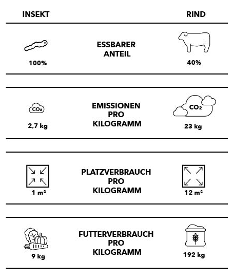 Vergleich Insekten vs. Rind