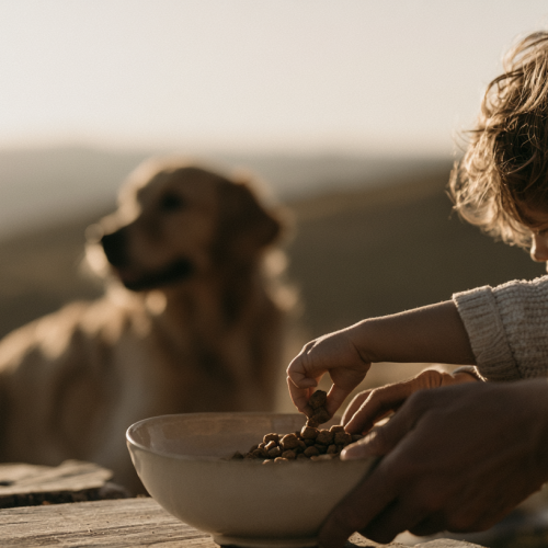 Invesdor_Hund_Kind_beige